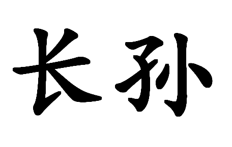 2017年“长孙”宝宝好名字
