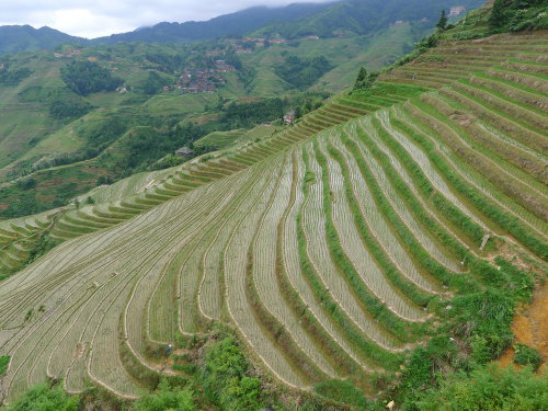 2015мǣɽˮ֣ģ˼
