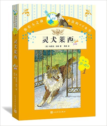 ��Ȯ����