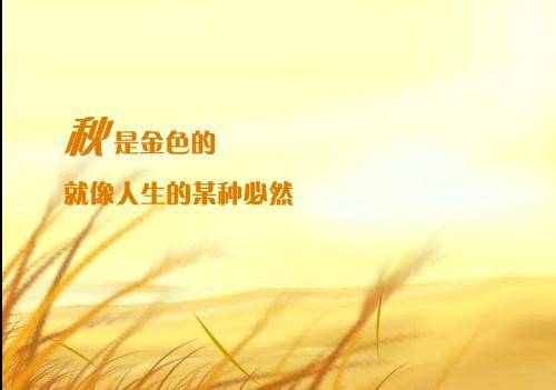 ֮