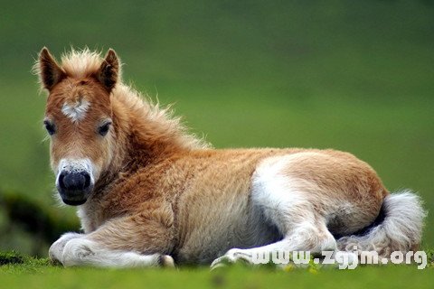 �μ�������ʲô��˼