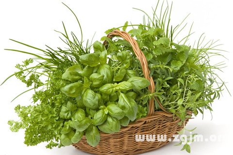 �μ���ҩ ��ҩ��ʲô��˼