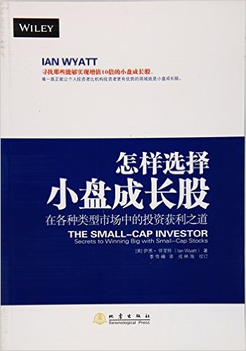 怎样选择小盘成长股