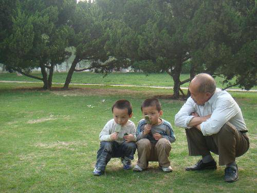 在感恩节里我想说 作文