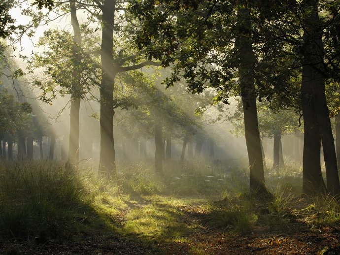 以生僻字取名的历代皇帝