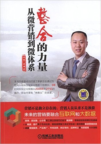 整合的力量:从微营销到微体系