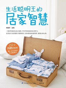 生活聪明王的居家智慧 (211个创意ideas,懒人超实用生活整理术)