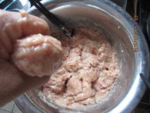 舌尖上的夏天(四)——冬瓜粉丝肉丸汤作文