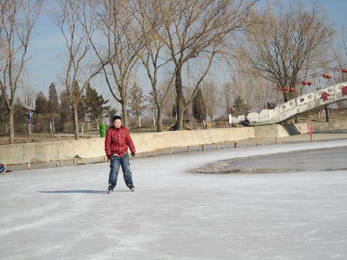 滑冰场巧遇作文