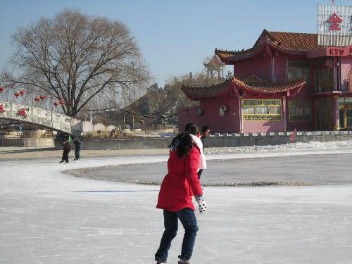 滑冰场巧遇作文