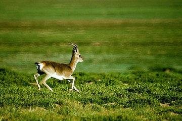 有没有人看到我们的泪作文