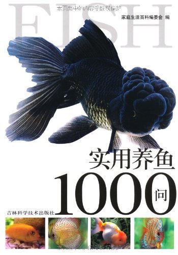 ʵ1000 (1000ϵ)