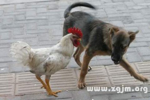 μȮʲô˼