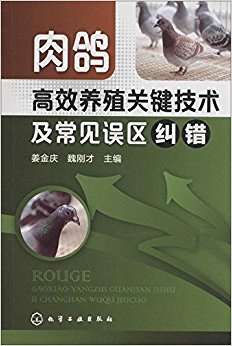 肉鸽高效养殖关键技术及常见误区纠错