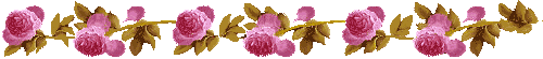 ĶҸ˽⺢Ӻͽ