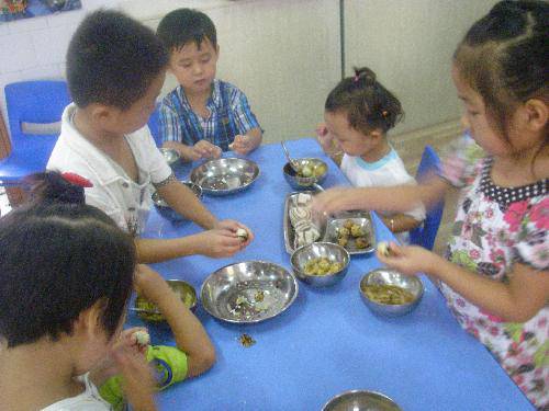 君心似我心作文