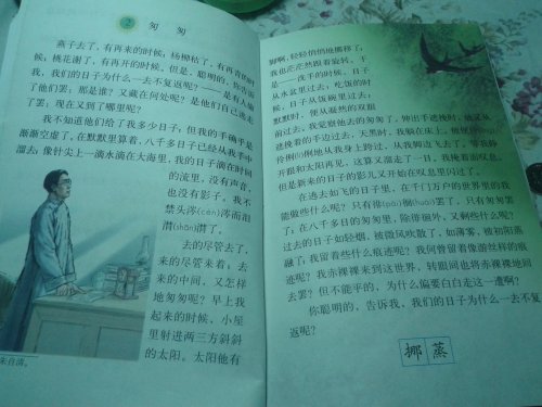 《匆匆》教后心得作文