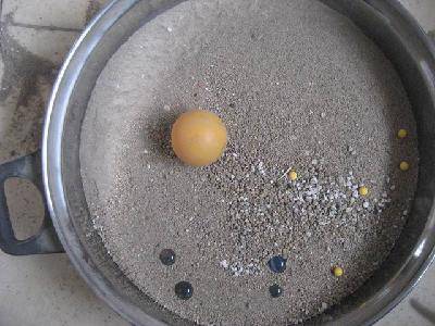 我的“魔术”表演—移形换位作文