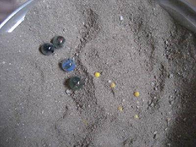 我的“魔术”表演—移形换位作文