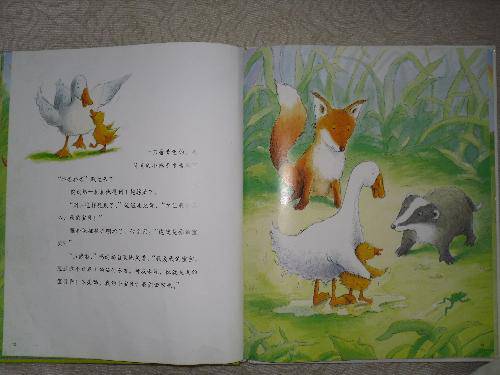 亲子共读《彩虹的尽头》作文