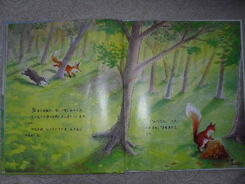 亲子共读《彩虹的尽头》作文