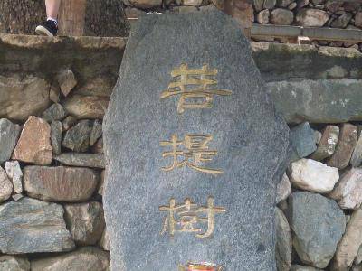 美丽的重渡沟作文