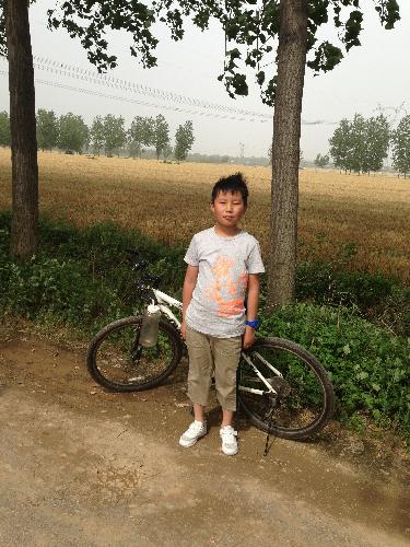 走,一起去田野作文