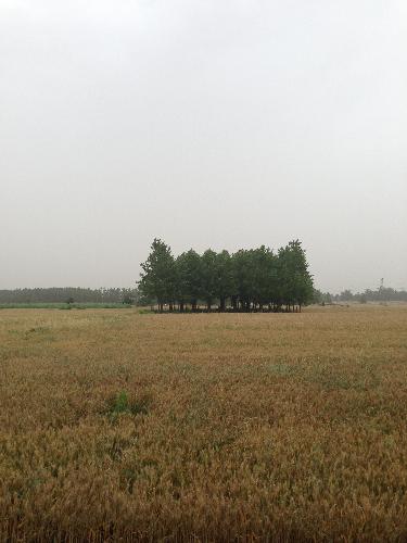 走,一起去田野作文