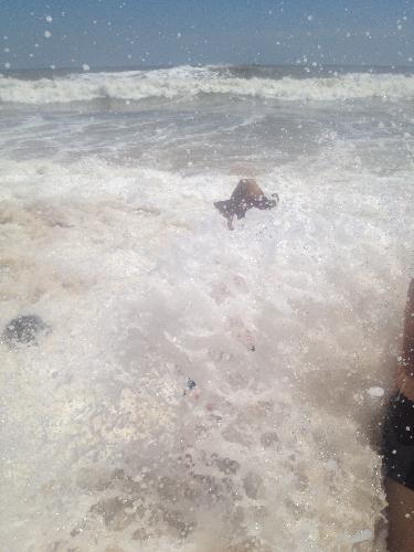 日照青岛游之日照篇二作文