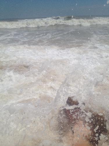 日照青岛游之日照篇二作文