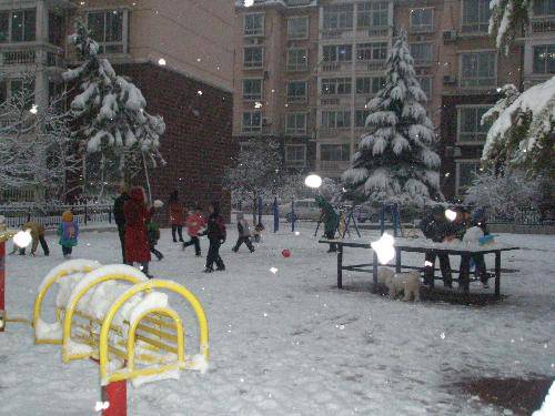 美丽的雪世界作文