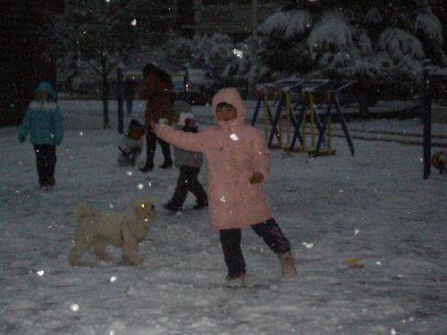 美丽的雪世界作文