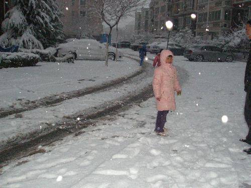 美丽的雪世界作文