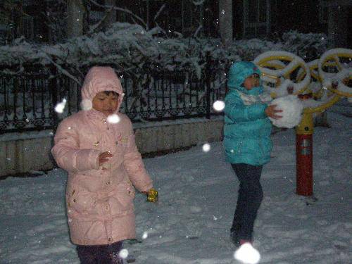 美丽的雪世界作文