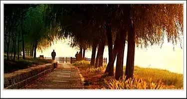 家乡的牧野湖作文