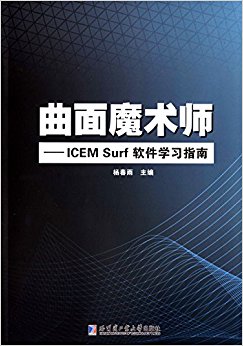 ħʦ:ICEM Surfѧϰָ