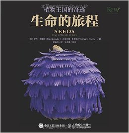 ֲ漣 ó