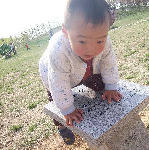 我们出去玩吧!作文