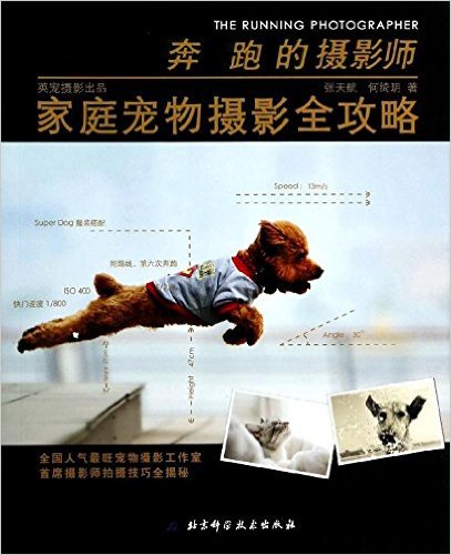 奔跑的摄影师:家庭宠物摄影全攻略