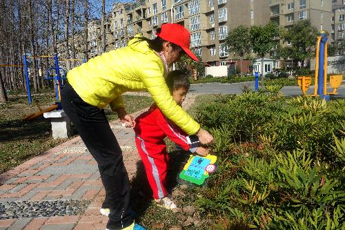 爱护环境 保护家园作文