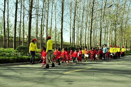 爱护环境 保护家园作文