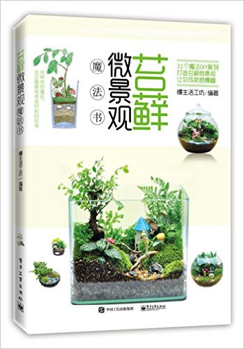 苔藓微景观魔法书