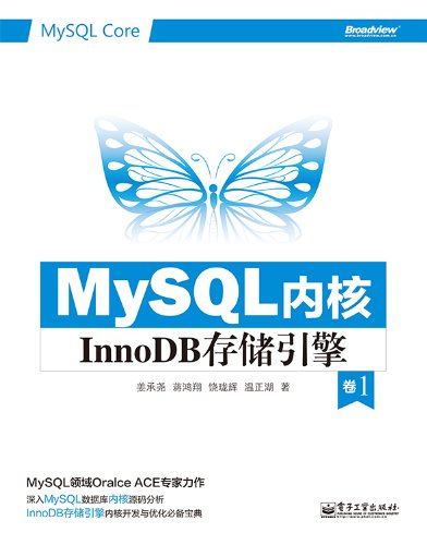 MySQL内核:InnoDB存储引擎(卷1)