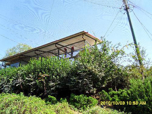 美丽的动物园作文