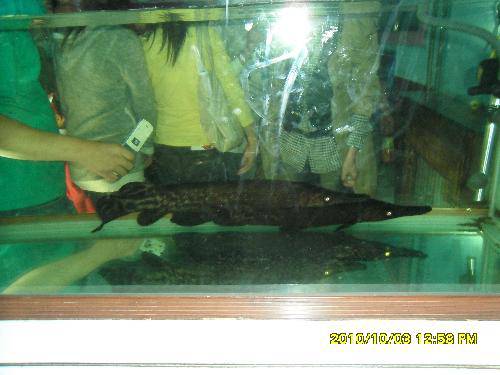 美丽的动物园作文