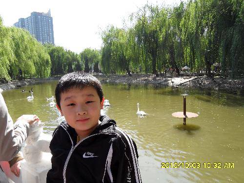 美丽的动物园作文