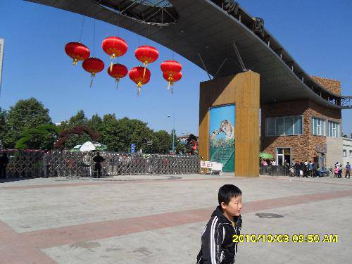 美丽的动物园作文