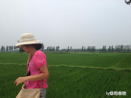 莫道田园无胜景 世外桃源乡村美作文