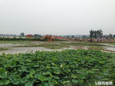 莫道田园无胜景 世外桃源乡村美作文