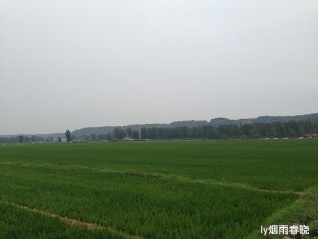 莫道田园无胜景 世外桃源乡村美作文